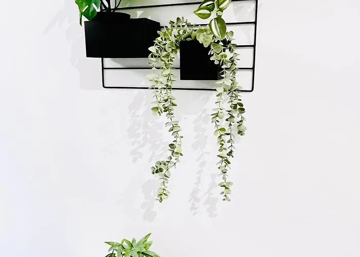 Belvedere Maisonette Gzira